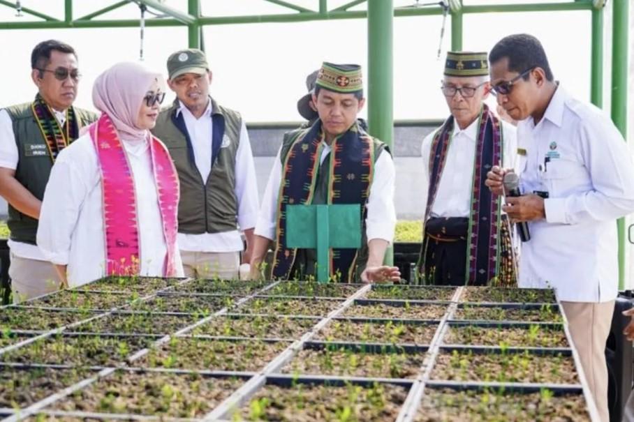 Menteri Kehutanan Dorong Persemaian Permanen sebagai Kunci Pelestarian Hutan dan Kesejahteraan Masyarakat