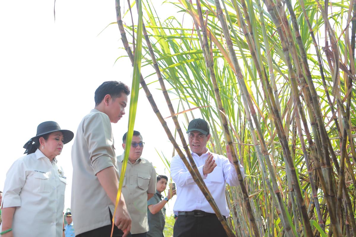 Wapres Gibran dan Mentan Amran Dorong Akselerasi Swasembada Gula dari Yogyakarta