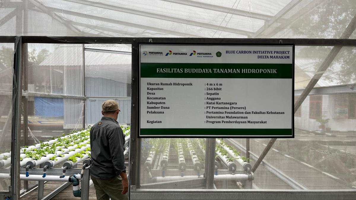 Pertamina Foundation Wujudkan Pelestarian Lingkungan lewat Program Hutan Lestari