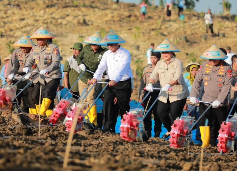 Tanam Jagung Serentak Bersama POLRI, Mentan Amran: Bukti Sinergi Pemerintah untuk Sektor Pertanian