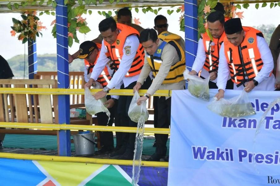 Wapres Gibran Tebar 50.000 Benih Ikan di Rowo Jombor, Dukung Ketahanan Pangan dan Wisata Air