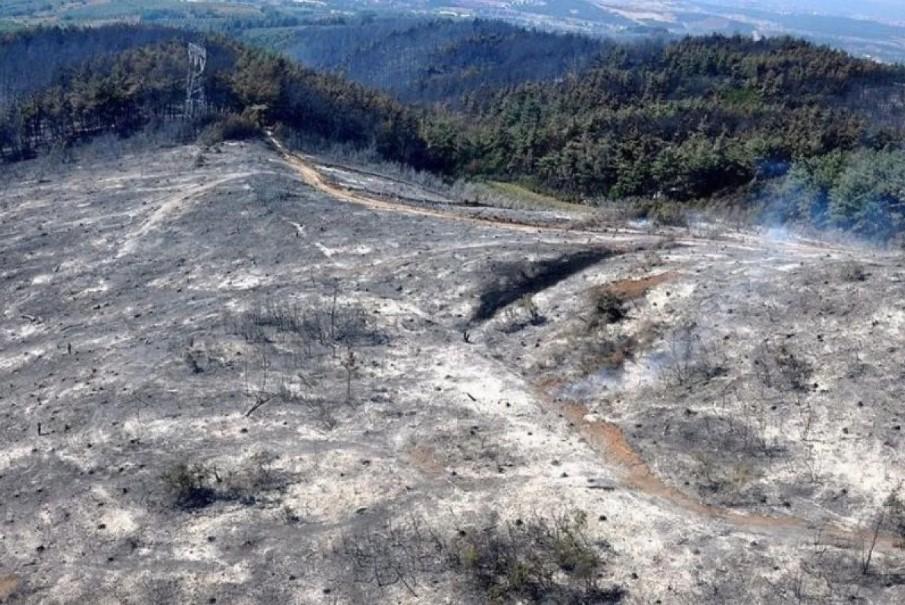 Pemukim Ilegal Israel Hancurkan Sumur Air di Ramallah, Warga Palestina Terancam Krisis Air Parah