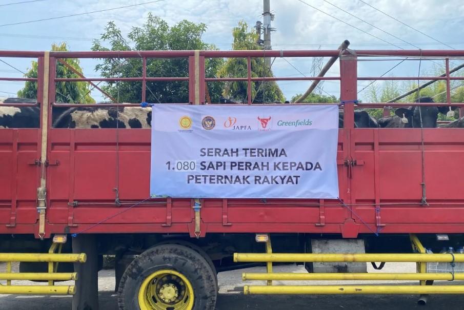 Gubernur Jatim Sambut Kedatangan 1.080 Sapi Perah Impor untuk Dukung Swasembada Susu Nasional