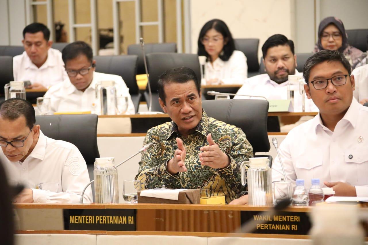 Mentan Amran Pastikan Stok Beras Cukup, Pantau Manipulasi Pasar