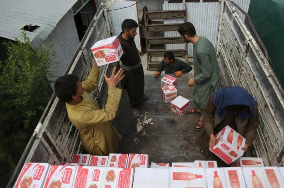 Afghanistan Musnahkan 65 Ton Bahan Pangan Kedaluwarsa demi Lindungi Kesehatan Publik