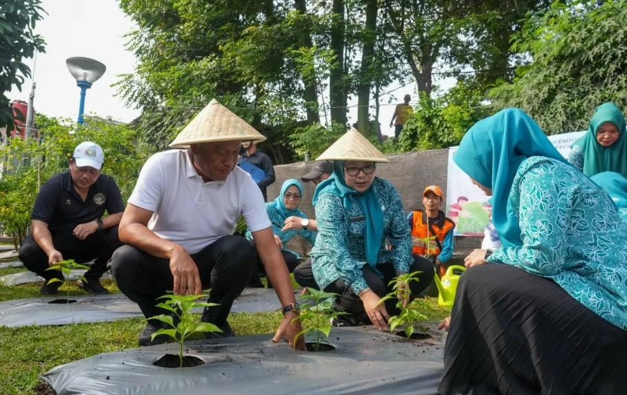Pemkot Jakarta Timur Tanam 3.000 Bibit Cabai Serentak di 10 Kecamatan Demi Wujudkan Kemandirian Pangan