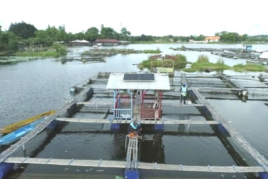PLN Indonesia Power Pasang PLTS di Keramba Nelayan Danau Ranu untuk Dorong Transisi Energi dan Produktivitas