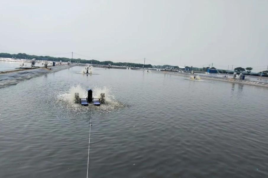 Ribuan Hektare Tambak di Karawang Akan Direvitalisasi, Program Nasional Dimulai Akhir 2025