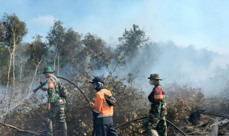 Satgas Gabungan Kerahkan 73 Personel dan 2 Helikopter untuk Padamkan Karhutla di Muara Enim