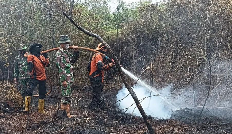 Kebakaran Hutan di Sungai Rotan Meluas Jadi 10 Hektare, Pemadaman Masih Berlangsung Hingga Hari ke-8