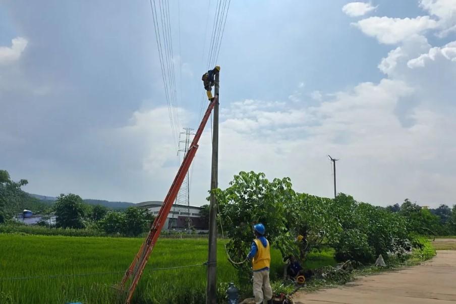 PLN Operasikan Pompanisasi Persawahan di Ponorogo untuk Dukung Ketahanan Pangan Nasional