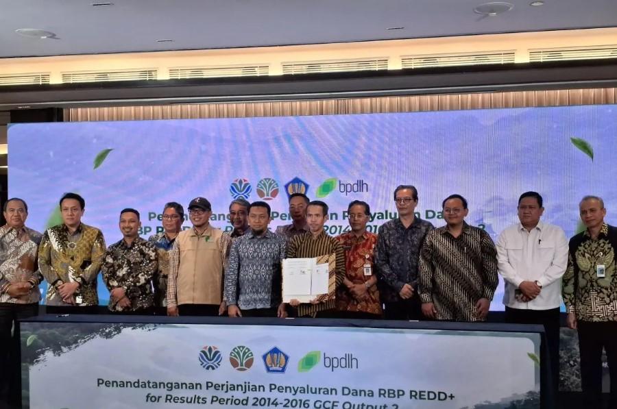 Pemerintah Salurkan Rp507 Miliar Dana Perlindungan Hutan kepada 24 Provinsi melalui Skema REDD+