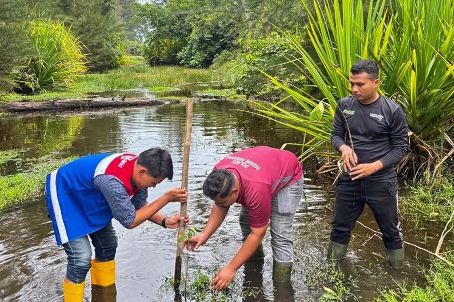 Penanaman 1.000 Bibit Bakau di Pantai Tiram, Pertamina Dukung Konservasi dan Pemberdayaan Masyarakat