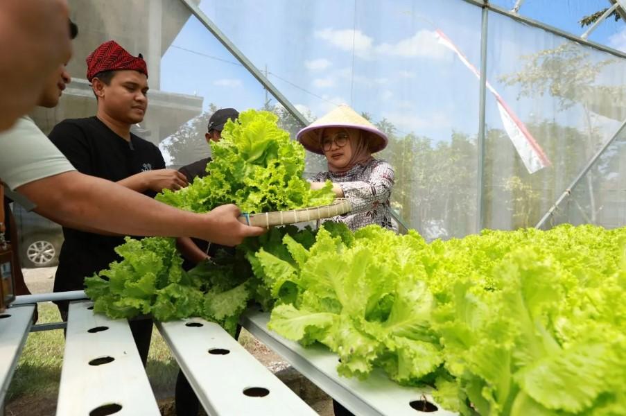 Bupati Banyuwangi Dorong Petani Muda, Contohkan Sukses Dua Pemuda Hidroponik