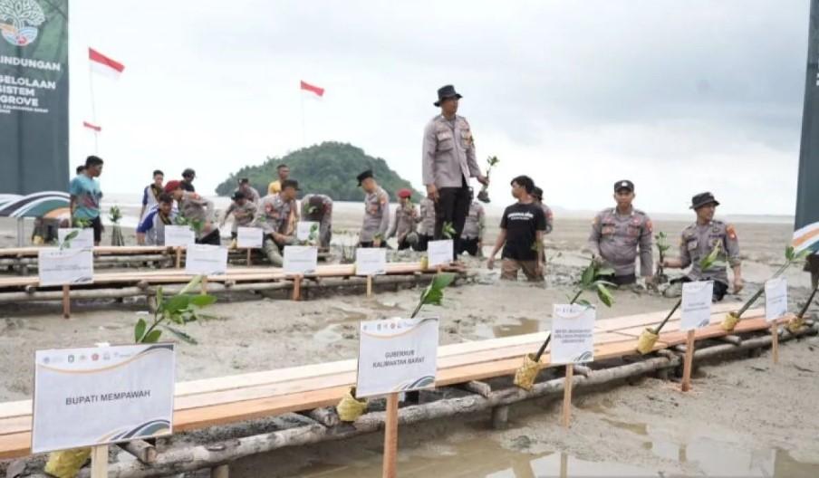 Gubernur Kalbar Tegaskan Komitmen Lestarikan Mangrove, Dorong Kolaborasi Semua Pihak
