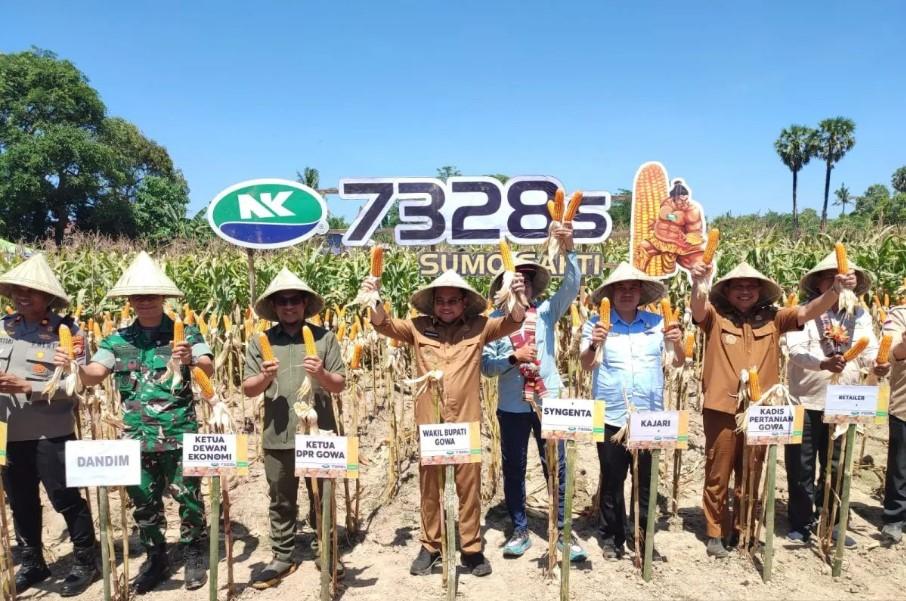 Panen Raya Jagung di Gowa Dukung Ketahanan Pangan Nasional