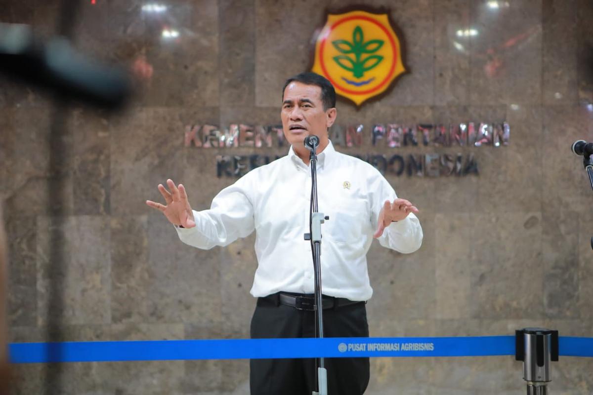 Mentan Amran: Pergeseran Struktur Pasar Beras Untungkan Pedagang dan Penggilingan Kecil