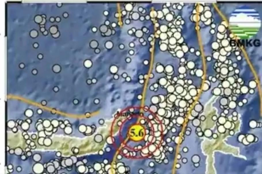 Gempa Bumi Magnitudo 6,0 Guncang Poso, BMKG Pastikan Tak Berpotensi Tsunami