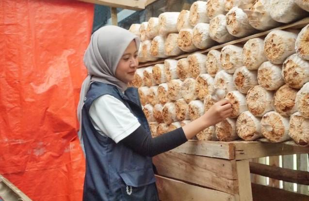 Danareksa Dukung Ekonomi Desa Medanglayang lewat Integrasi Agrikultur dan Pariwisata Berkelanjutan
