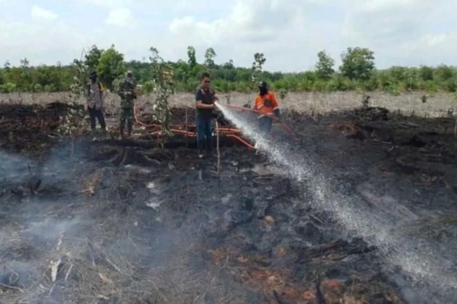 Tiga Daerah di Sumsel Masuk Zona Merah Karhutla, BPBD: Kasus Meningkat dan Pemantauan Diperketat