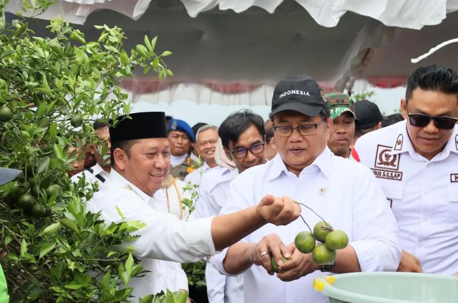 Wamen Transmigrasi Dorong Jeruk Lokal Cahaya Baru Tembus Pasar Ekspor
