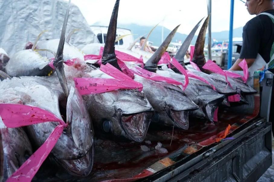 Ekspor Produk Perikanan Indonesia ke Arab Saudi Meningkat, Enam Perusahaan Dapat Izin Baru