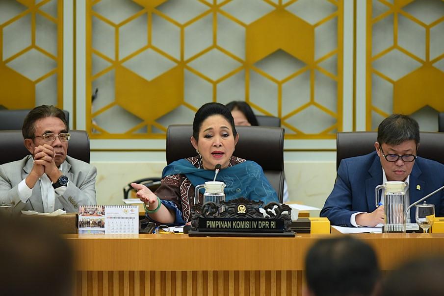 Titiek Soeharto Soroti Harga Beras Melonjak di Atas HET, Ungkap Praktik Oplosan Rugikan Masyarakat