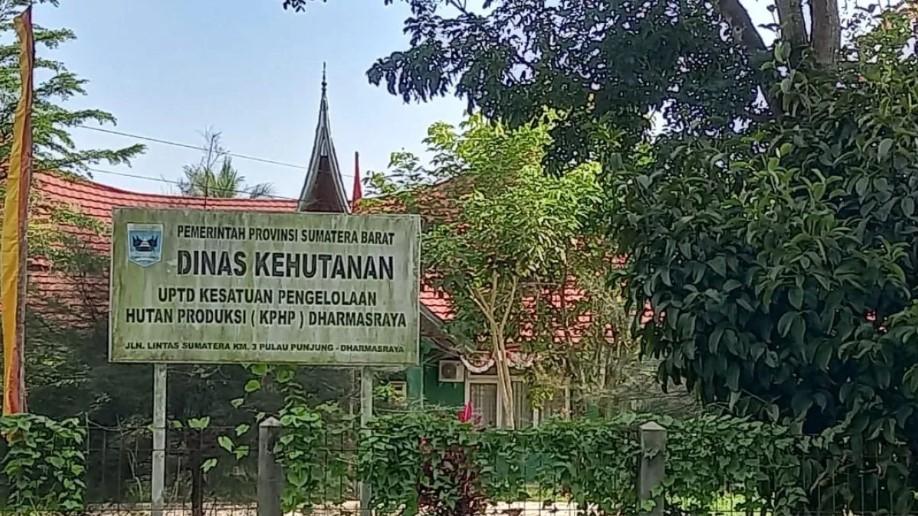 Ribuan Hektare Kebun Sawit di Dharmasraya Masuk Kawasan Hutan, Kementerian Kehutanan Lakukan Investigasi