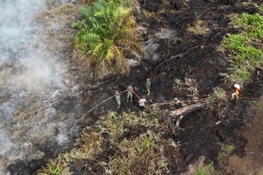 Kebakaran Hutan di Aceh Selatan Meluas 72 Hektare, Tim Gabungan Masih Berjuang Padamkan Api