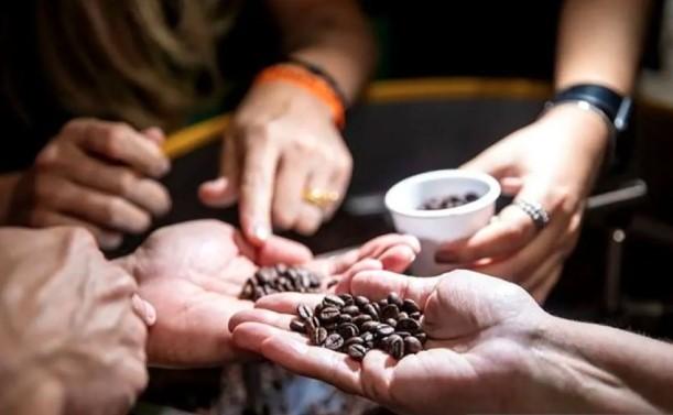 Tarif Baru AS Terhadap Kopi Brasil Ancam Industri Kopi dan Picu Kenaikan Harga di Pasar Domestik