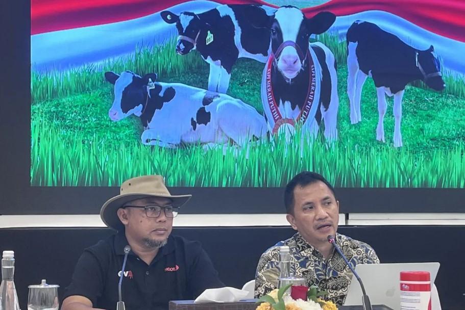 Bappenas Dorong Program Sapi Merah Putih untuk Dukung Makan Bergizi Gratis dan Tingkatkan Produksi Susu Nasional
