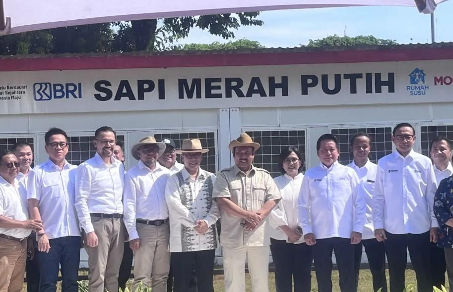 Program Sapi Merah Putih Diluncurkan, Bappenas Pastikan Tanpa Dana APBN