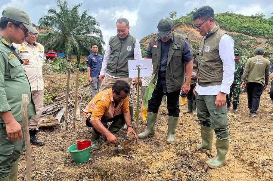 Rehabilitasi Hutan TNGL Dimulai, 360 Hektare Sawit Ilegal Ditumbangkan