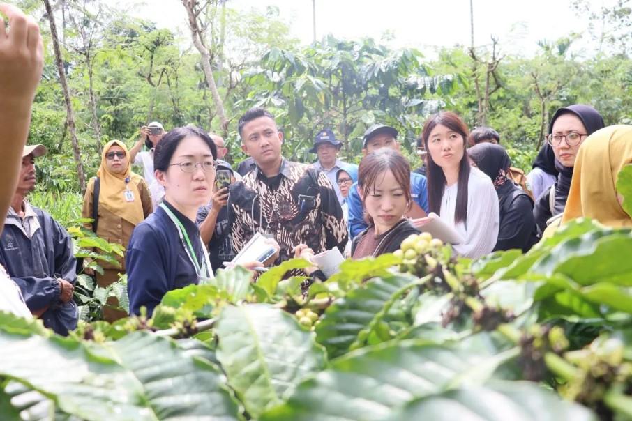 Karantina Lampung Pastikan Mutu Kopi Ekspor ke Jepang Terjamin Aman
