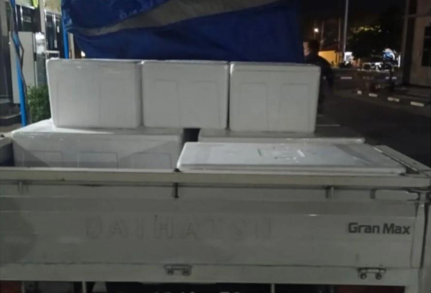 TNI AL Gagalkan Penyelundupan 85.000 Benih Lobster Senilai Rp731 Juta di Banyuwangi