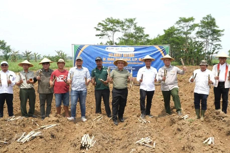 Kementan Tinjau Kebun Bongkar Ratoon PG Sragi untuk Perkuat Swasembada Gula Nasional