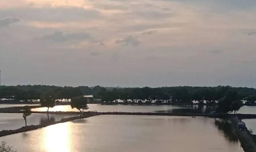 KKP Tegaskan Revitalisasi Tambak di Pantura Jabar Utamakan Lingkungan dan Keberlanjutan