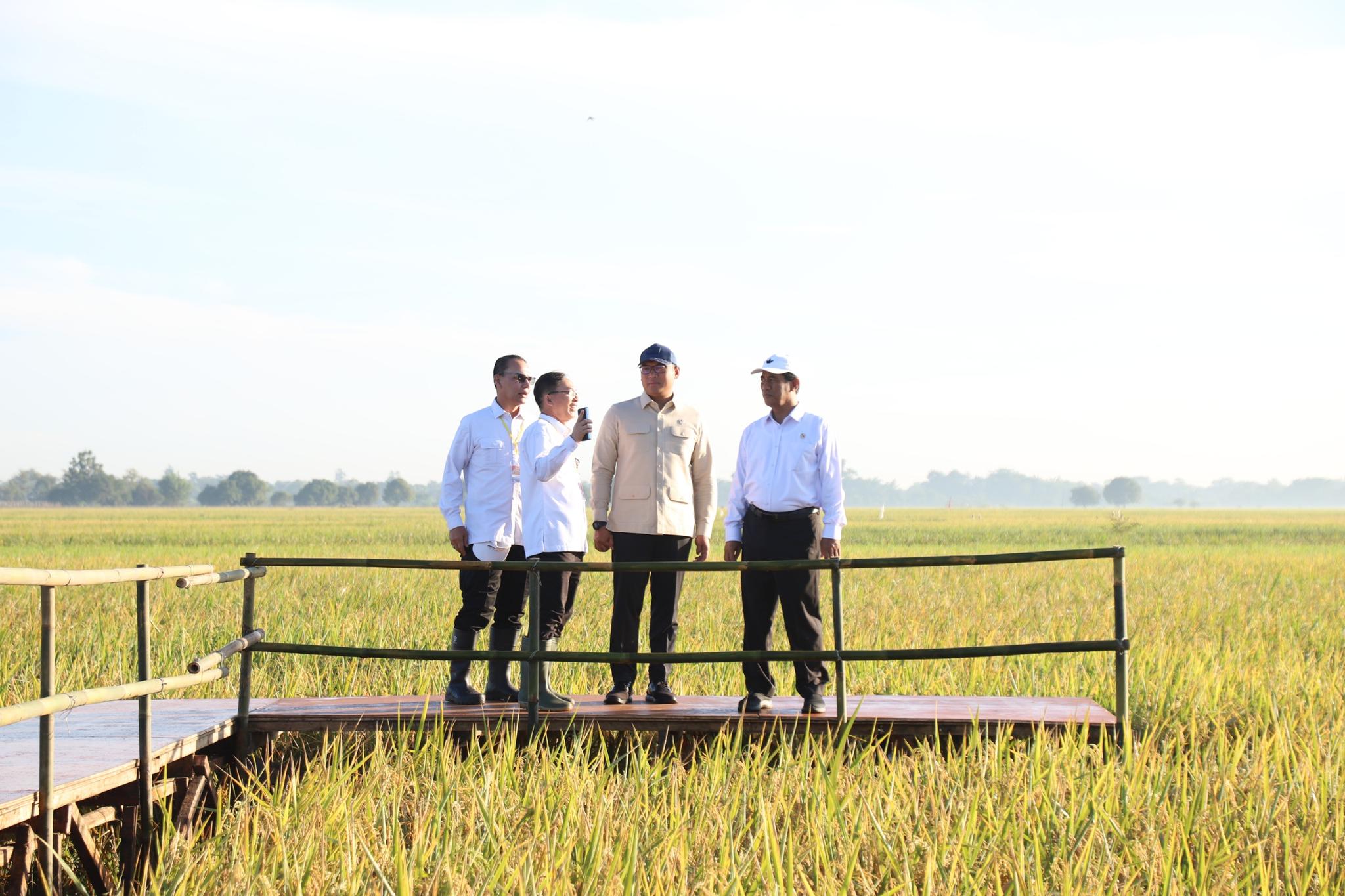 Produksi Beras Jan-Nov 2025 Diperkirakan 33,19 Juta Ton, Semakin Mendekati Prediksi FAO dan USDA