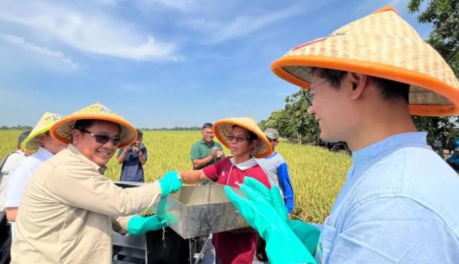 Pemerintah Tetapkan Harga Gabah Rp6.500 per Kilogram, Bappenas: Langkah Strategis Dorong Kesejahteraan Petani