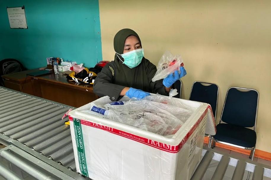 Ekspor Ikan Beku Maluku Naik 1.187 Persen, Tembus Rp90,56 Miliar hingga September 2025