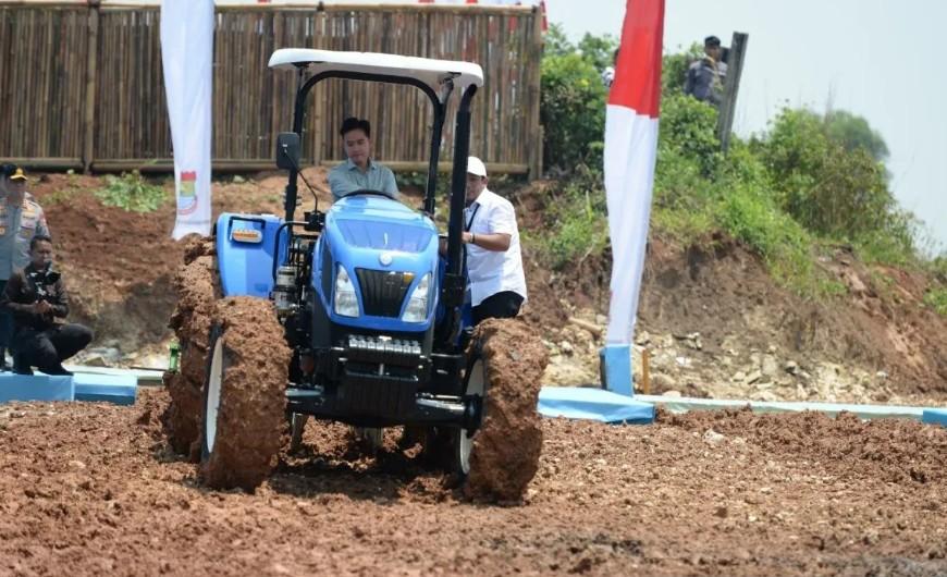 Gibran Dorong Pabrik Pakan Ternak di Banten Jadi Off Taker Hasil Panen Jagung Petani