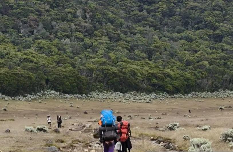 Taman Nasional Gunung Gede Pangrango Tutup Sementara Mulai 13 Oktober untuk Aksi Bersih-Bersih dan Perbaikan Tata Kelola