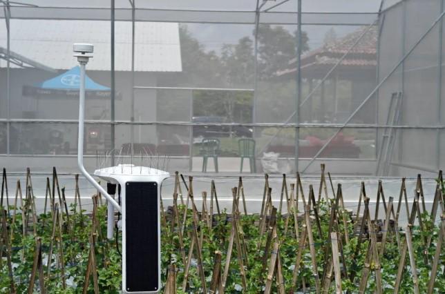 Bayer JUARA Dorong Petani Kuasai Teknologi Presisi untuk Hadapi Perubahan Iklim dan Tingkatkan Produktivitas