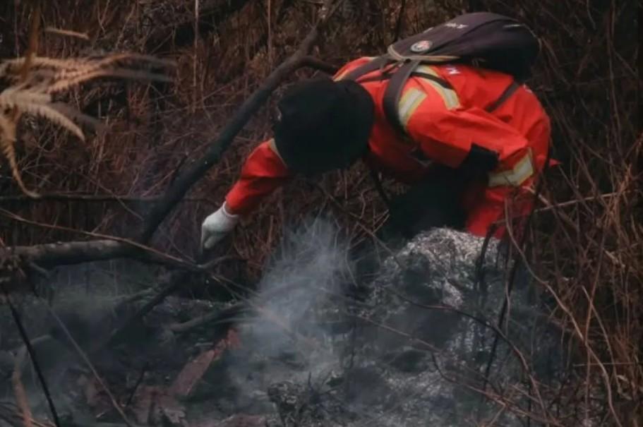 Kebakaran Hutan di Gunung Rinjani Berhasil Dipadamkan Setelah Dua Hari Upaya Intensif