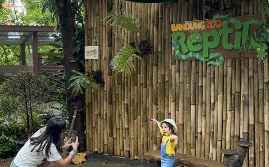 Pembukaan Terbatas Bandung Zoo Disambut Antusias Sekolah, Fokus pada Konservasi Kelas Dunia