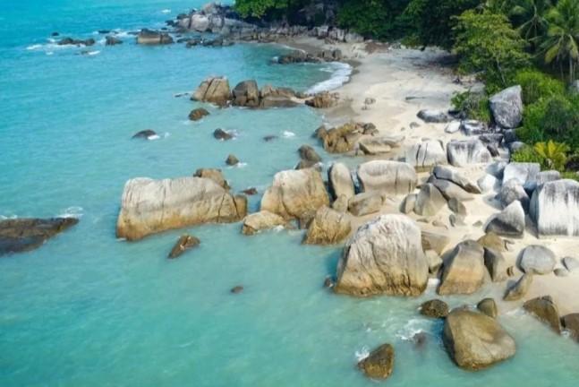 Pemprov Babel Eliminasi Anjing Liar di Kawasan Wisata Demi Lindungi Pengunjung dan Jaga Status Bebas Rabies