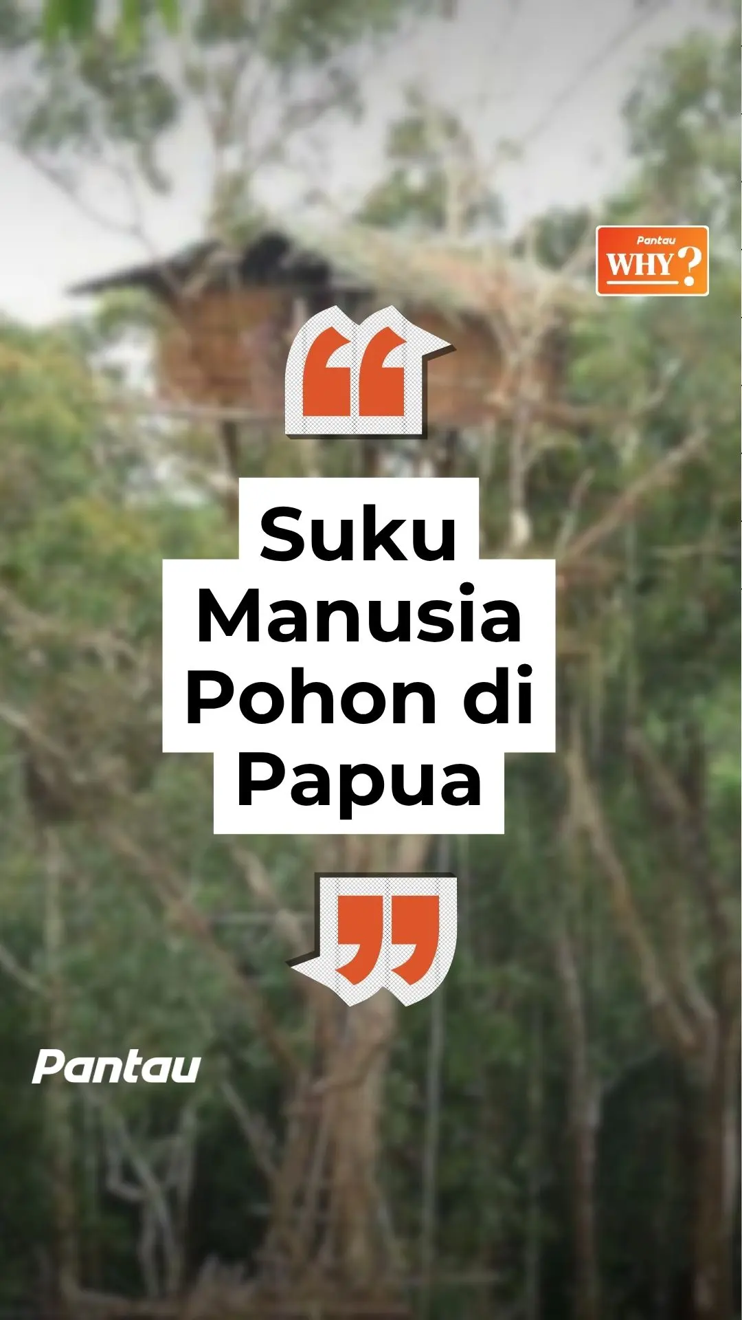 SUKU MANUSIA POHON DI PAPUA
