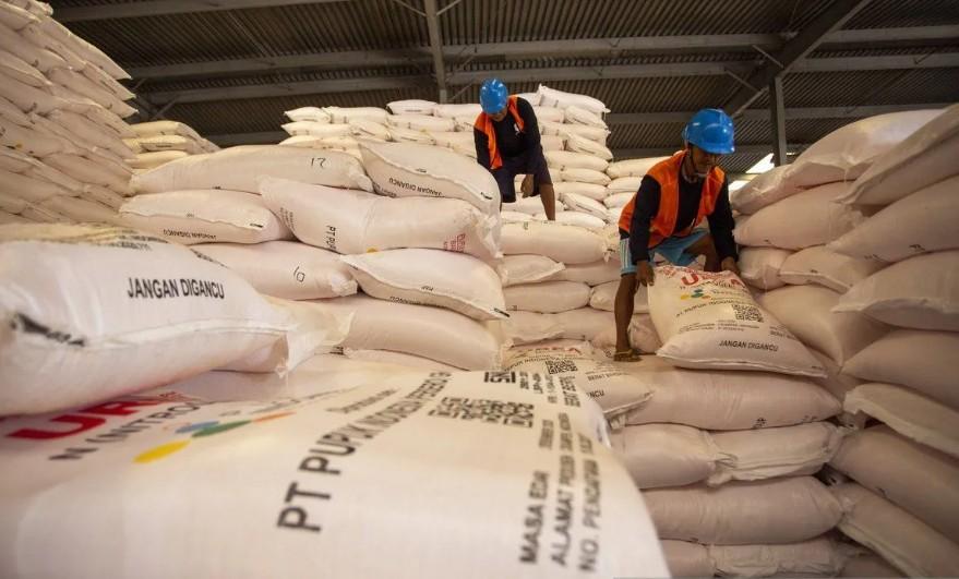 Harga Pupuk Subsidi Turun 20 Persen, Pupuk Indonesia Pastikan Penyaluran Sesuai HET Lewat Sistem Digital