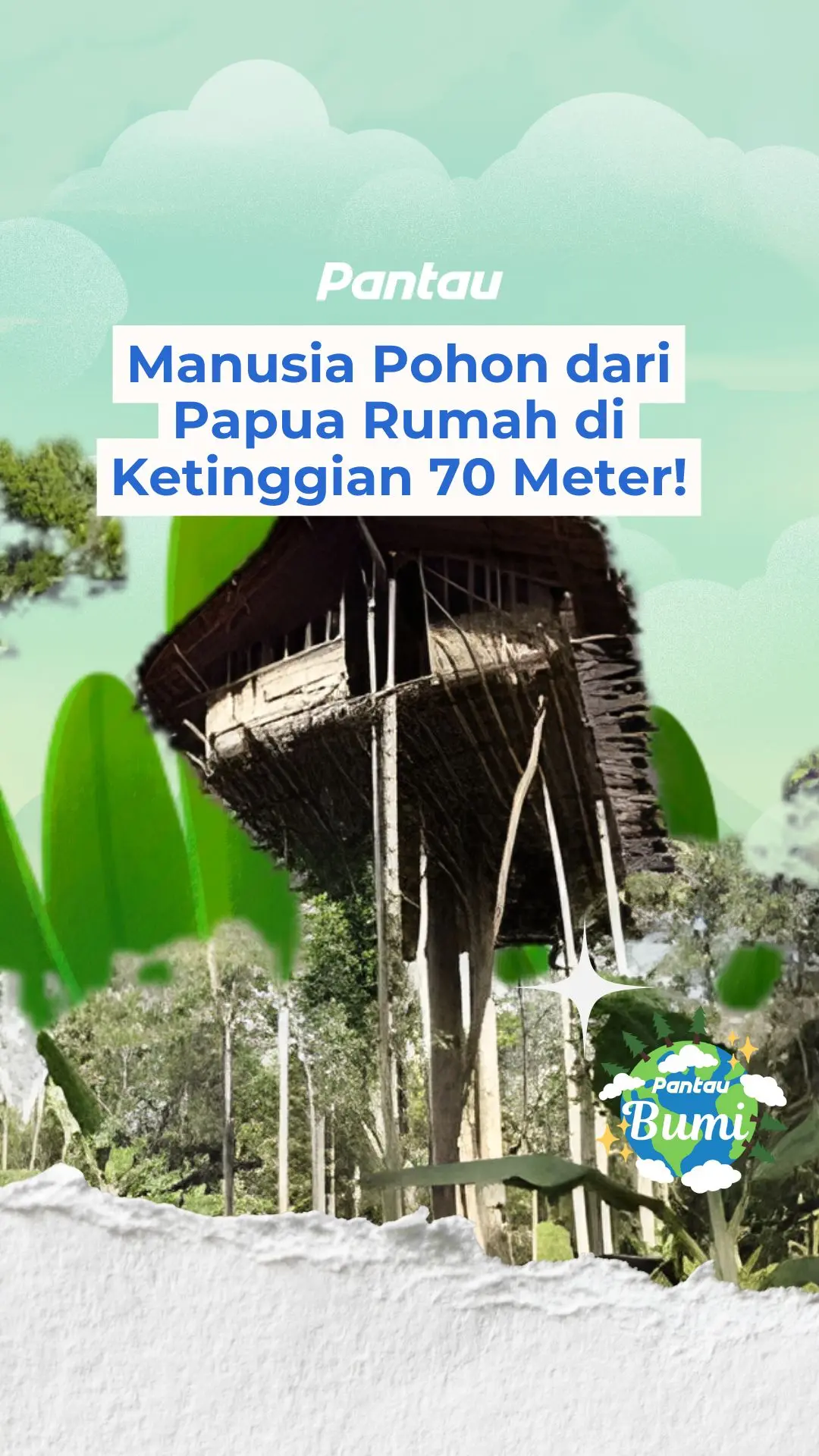 MANUSIA POHON DARI PAPUA RUMAH DI KETINGGIAN 70 METER!