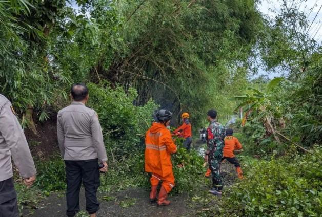 BPBD Bondowoso: 68 Rumah Rusak Diterjang Angin Kencang di Kecamatan Binakal dan Curahdami